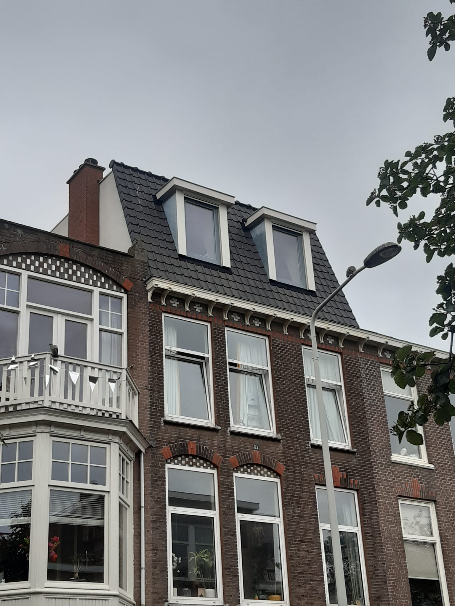 Dakopbouw Den Haag